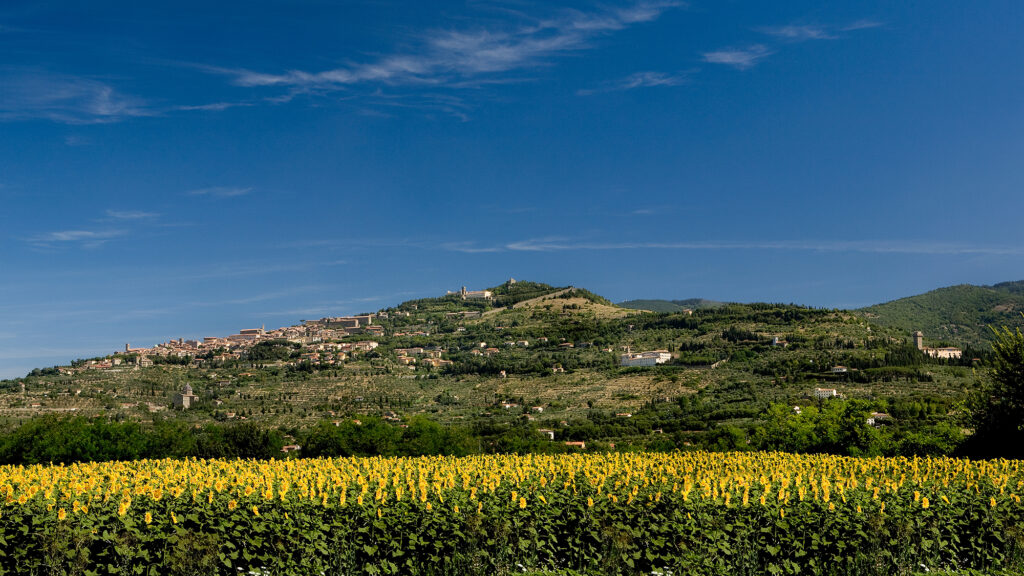 Relais Villa Barattino Toscana